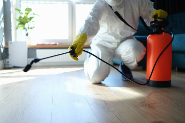Reliable Odor Removal contractor in El Dorado, AR by Crime Scene Cleaner Online